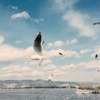 思维格局头像图片_有格局的头像