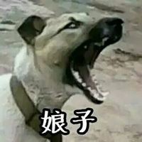 世界上最搞笑的头像图片 史上最丑的头像 搞笑