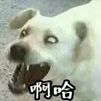 世界上最搞笑的头像图片 史上最丑的头像 搞笑