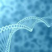 生物群头像图片|生物种群图片