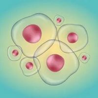 生物群头像图片|生物种群图片