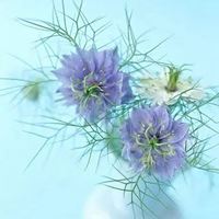 生物群头像图片|生物种群图片