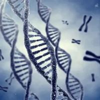 生物群头像图片|生物种群图片
