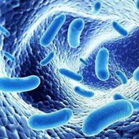 生物群头像图片|生物种群图片