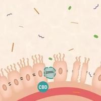 生物群头像图片|生物种群图片