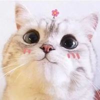 比较暖的头像|很温暖的头像