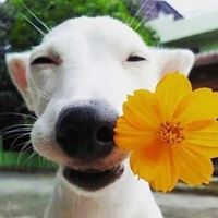 比较暖的头像|很温暖的头像