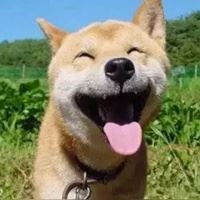 积极乐观的头像图片 开朗|阳光向上积极乐观头像