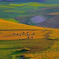 最美的田野风景图片_好看的田野风景图