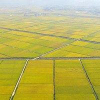 最美的田野风景图片_好看的田野风景图