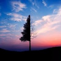 梦幻般的优美的景色 美丽的风景图片 梦幻