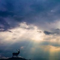 梦幻般的优美的景色 美丽的风景图片 梦幻