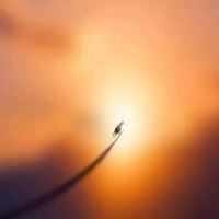 梦幻般的优美的景色 美丽的风景图片 梦幻