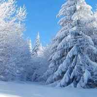 冰天雪地图片头像_冬天雪景头像图片
