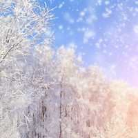 冰天雪地图片头像_冬天雪景头像图片
