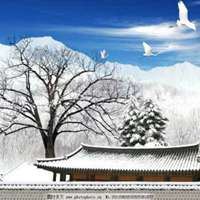 冰天雪地图片头像_冬天雪景头像图片