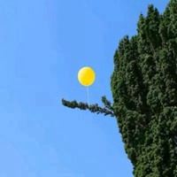 吉利风景头像图片（吉利好看的微信风景头像）