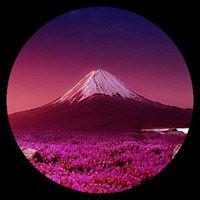 圆形风景画（圆形风景画图片大全）