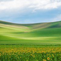 大草原景色（美丽辽阔的大草原）