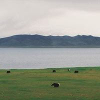 大草原景色（美丽辽阔的大草原）