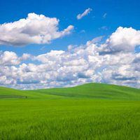 大草原景色（美丽辽阔的大草原）