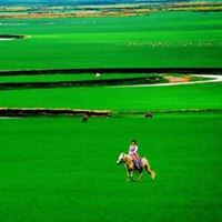 大草原景色（美丽辽阔的大草原）