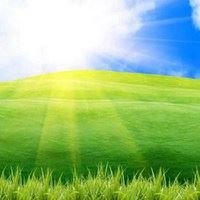 大草原景色（美丽辽阔的大草原）