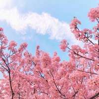 风水最好的风景头像 招财（招财风景头像图片大全）