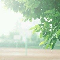 清晨的第一缕阳光 清晨的第一缕阳光图片