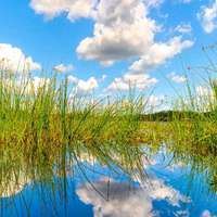 秋天风景美如画的诗句（赞美秋天景色如画的诗句）
