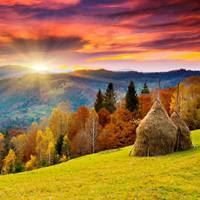 秋天风景美如画的诗句（赞美秋天景色如画的诗句）