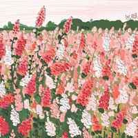 简单好看的水粉风景画_简单水粉画 风景