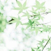 风景唯美自然 清新（唯美风景图片小清新 自然）