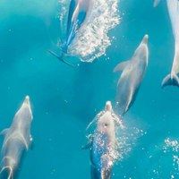 蔚蓝色的大海像什么_蔚蓝色的大海补充句子