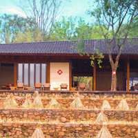 金秋稻田美景图片_秋天金色稻田图片