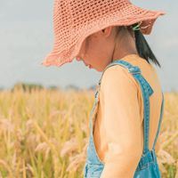 金秋稻田美景图片_秋天金色稻田图片