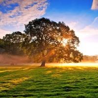 大自然风景图片大全 头像 花草 美景-大自然风景微信头像图片大全清新