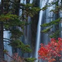 大自然风景图片大全 头像 花草 美景-大自然风景微信头像图片大全清新