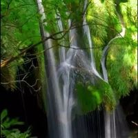 大自然风景图片大全 头像 花草 美景-大自然风景微信头像图片大全清新