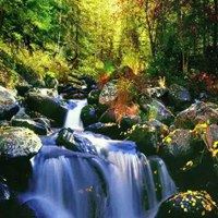 大自然风景图片大全 头像 花草 美景-大自然风景微信头像图片大全清新