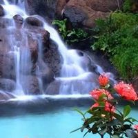 大自然风景图片大全 头像 花草 美景-大自然风景微信头像图片大全清新