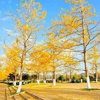 大自然风景图片大全 头像 花草 美景-大自然风景微信头像图片大全清新