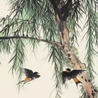 柳条燕子图片代表什么 好看的燕子图片做头像