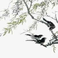 柳条燕子图片代表什么 好看的燕子图片做头像
