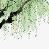 柳条燕子图片代表什么 好看的燕子图片做头像