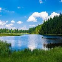 大自然风景微信头像图片大全清新（头像风景 大自然）