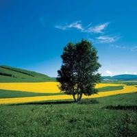 自然风景头像图片大全高清-自然头像图片 风景