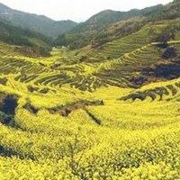 qq头像图片大全风景高清 唯美|微信风景头像图片高清图片大全