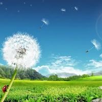 qq头像图片大全风景高清 唯美|微信风景头像图片高清图片大全
