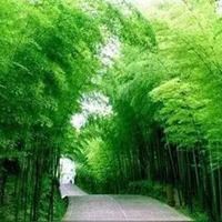 qq头像图片大全风景高清 唯美|微信风景头像图片高清图片大全